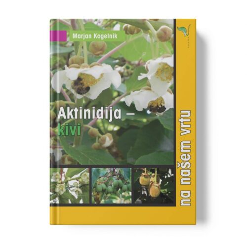 aktinidija Aktinidija – kivi na našem vrtu