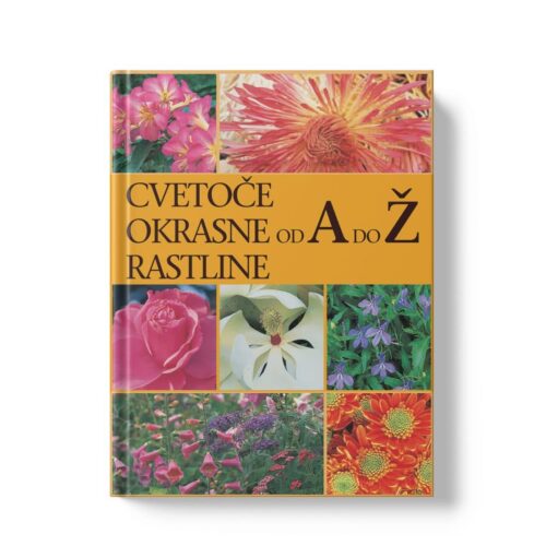 cvetoče okrasne rastline Cvetoče okrasne rastline od a do ž