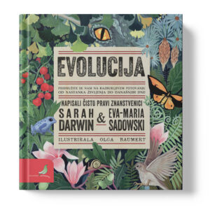 EVOLUCIJA EVOLUCIJA