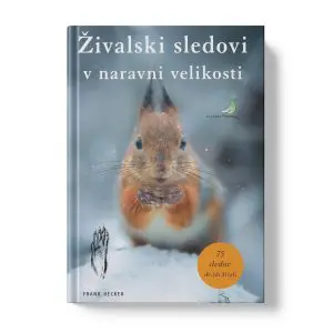 ŽIVALSKI SLEDOVI V NARAVNI VELIKOSTI